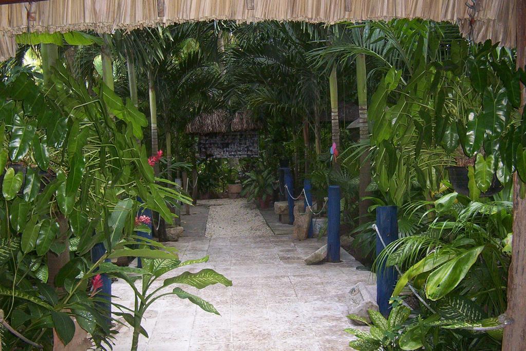 Posada El Jardin Ticul Extérieur photo