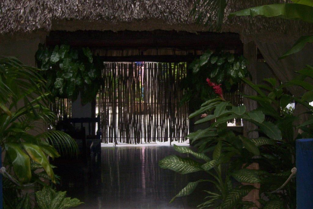 Posada El Jardin Ticul Extérieur photo