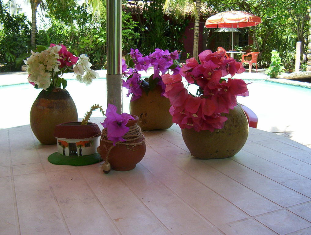 Posada El Jardin Ticul Extérieur photo